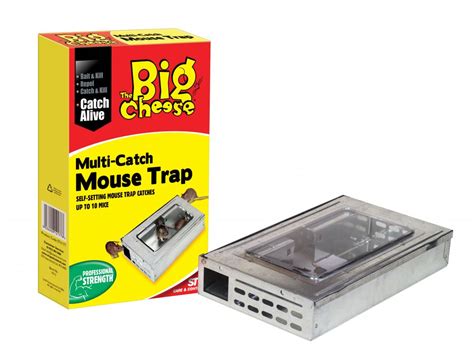 big cheese  set multi catch mouse trap stv