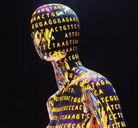 human genome project   scientists synthesize entire human