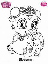 Coloring Pages Disney Pets Recommended sketch template