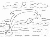 Coloring Dolphin Delfin Tegninger Beaked Swims Delfines Kategorier Onlinecoloringpages sketch template