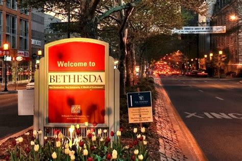 introduction  bethesda