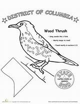 Washington Bird State Dc Activities Worksheet Coloring Pages Worksheets Grade First Choose Board Science Education sketch template