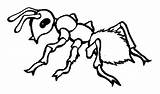 Ant Coloring Fire sketch template