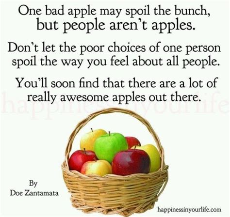 rotten apple bad apple quote bad apple apple quotes