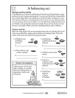 printable  grade science worksheets tutoreorg master  documents