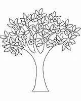 Coloring Tree Spring Pages Choose Board Kids Blossom sketch template