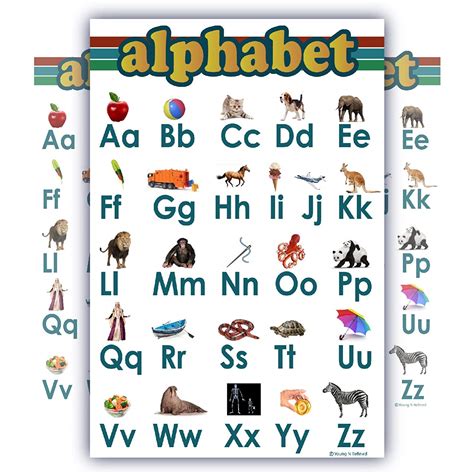 learning alphabet abc chart white laminated classroom poster young