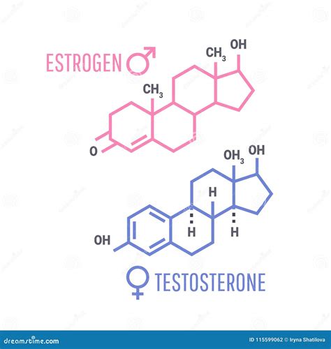 sex hormones molecular formula stock vector illustration of health