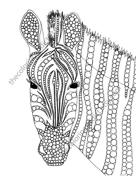 printable zebra coloring pages diamond wife
