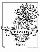Arizona Coloring Flower State Cactus Pages Tattoo Saguaro Blossom Kids Clipart Cliparts Color Printable Flowers Scouts Wolf Jr Books Print sketch template