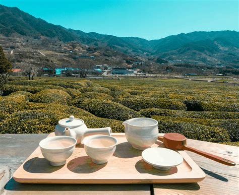 hadong green tea region  korea worth  visit linda  east