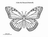 Butterfly Monarch Coloring Drawing Pages Line Outline Color Printable Getdrawings Paintingvalley Getcolorings Popular Exploringnature Print sketch template
