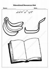 Urdu Educational sketch template