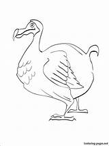 Dodo Bird Coloring Pages Getdrawings Card Drawing Getcolorings sketch template