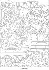 Color Number Dover Publications Doverpublications Cats Adult Coloring Book Haven Welcome Colouring Titles Browse Complete Catalog Over Choose Board Cat sketch template