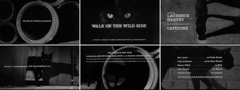 for cats only walk on the wild side