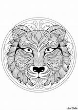 Mandala Tiger Coloring Animal Pages Mandalas Difficult Animals Lion Head Color Beautiful Patterns Little Adults Kids Gorgeous Wolf Complex Very sketch template