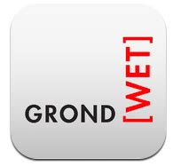 grondwet  eenvoudig nederlands te lezen  iphone app