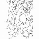 Sloth Xcolorings sketch template