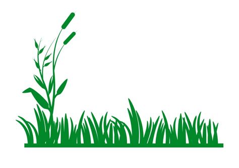 grass border png   cliparts  images  clipground