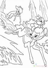 Jelonek Bambi Kolorowanki Dzieci sketch template