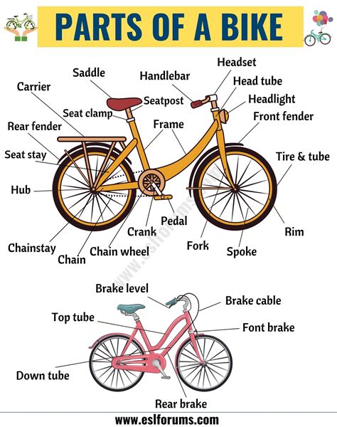 bicycle parts  important parts   bicycle  esl pictures esl forums learn english