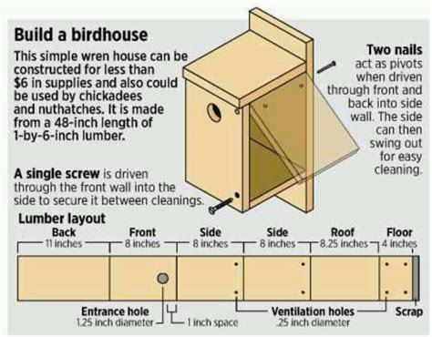 pin    bird houses
