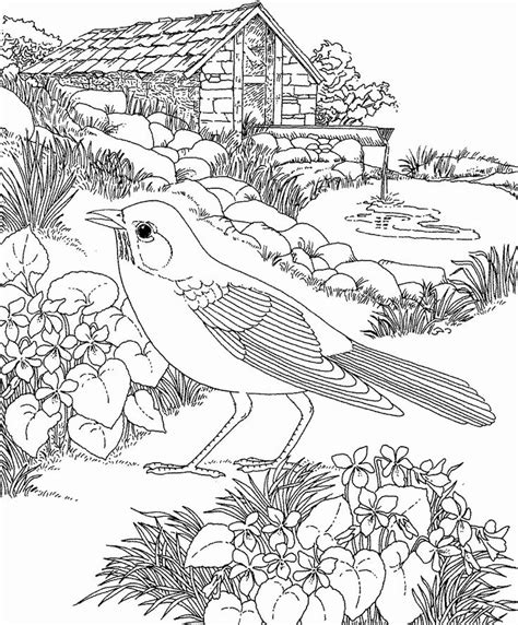 alaska state bird coloring page  meadowlark coloring pages bird