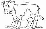 Grass Coloring Cow Eating Pages Cows Chewing Farm Animal Eat Lot Kids Color Kidsplaycolor sketch template
