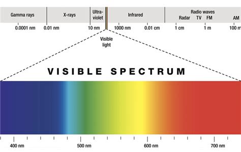 mehl misstrauen rafflesia arnoldi wavelength  visible light  meters