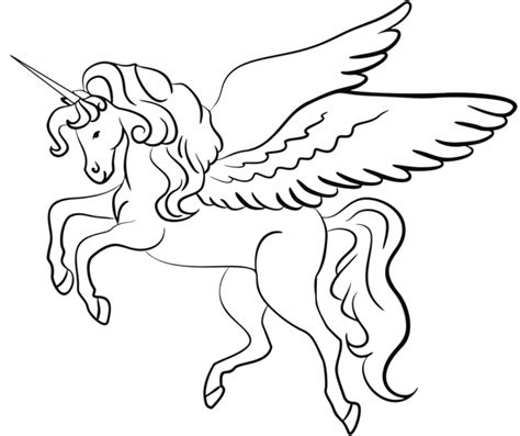unicorn horse coloring book  print