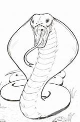 Coloring Cobra King Pages Snake Drawing Clip Library Colouring Kids Arts Related Popular Clipart sketch template