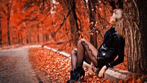 free images woman people in nature autumn leaf tree