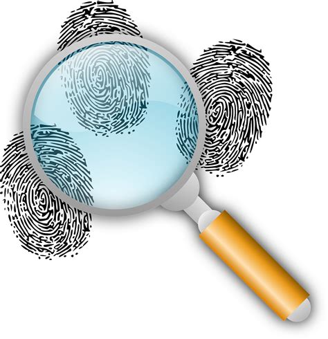 detective clues police work  vector graphic  pixabay