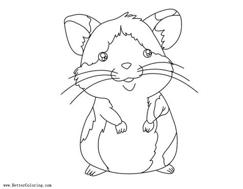 baby hamster coloring pages  printable coloring pages