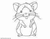 Hamster Coloring Pages Baby Printable Kids Adults sketch template