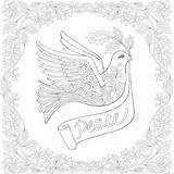 Coloring Pages Dove Peace sketch template