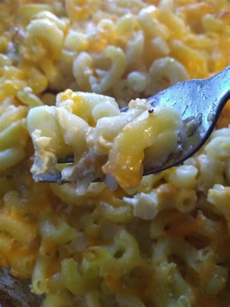baked southern style mac  cheese  egg hubpages
