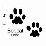 Bobcat Footprints sketch template