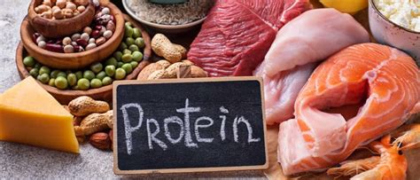 proteine wat  het en waarom moet je het eten