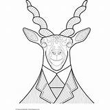 Animals Coloring Book Dapper Zoom sketch template