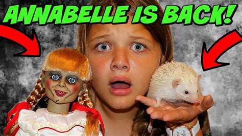 Annabelle Is Back Creepy Doll Takes My Hedgehog Escape The Dollmaker