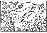 Coloring Turtle Pages Ausmalbilder Sea Schildkröte Kleurplaat Colouring Large Strand Animals Ausmalen Comments Besuchen Printable Choose Board Sheets Coloringhome sketch template