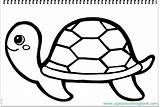 Turtle Coloring Kids Drawing Pdf sketch template