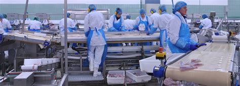 8 causes of costly injuries in food processing plants fusion tech