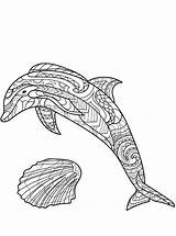 Moeilijk Dolfijn Schwer Dolfijnen Delphin Dolphin Ausmalbild Delfine Malvorlage Kleurplaten sketch template