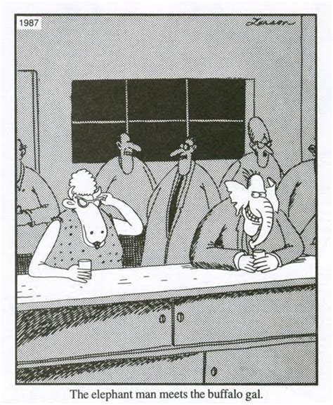 The Far Side By Gary Larson Elephant Man Meets Buffalo Gal Gary