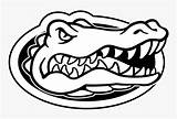 Florida Gators Logo Coloring Alligator Football Book Kindpng sketch template