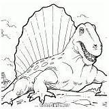 Malvorlagen Dinosaurier Dimetrodon Jagd sketch template