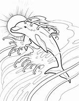 Dolphin Dolphins Dauphin Dover Dolfijn Derue Roberta Doverpublications Colorier sketch template